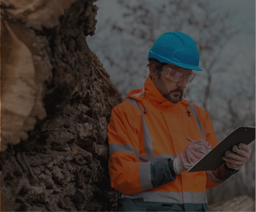 Industrial e Florestal